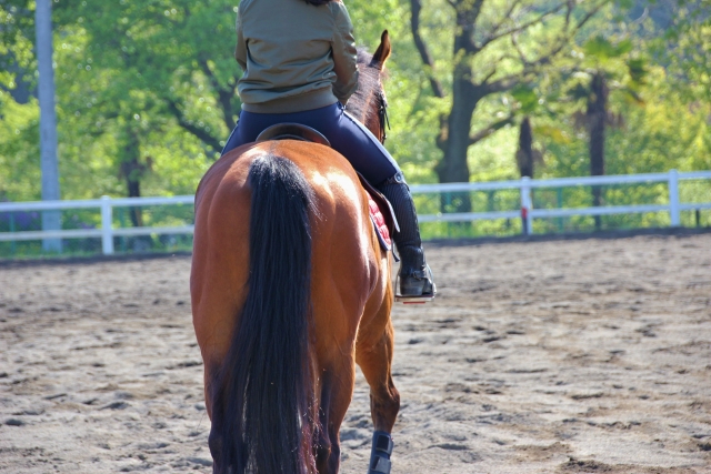 _horseriding